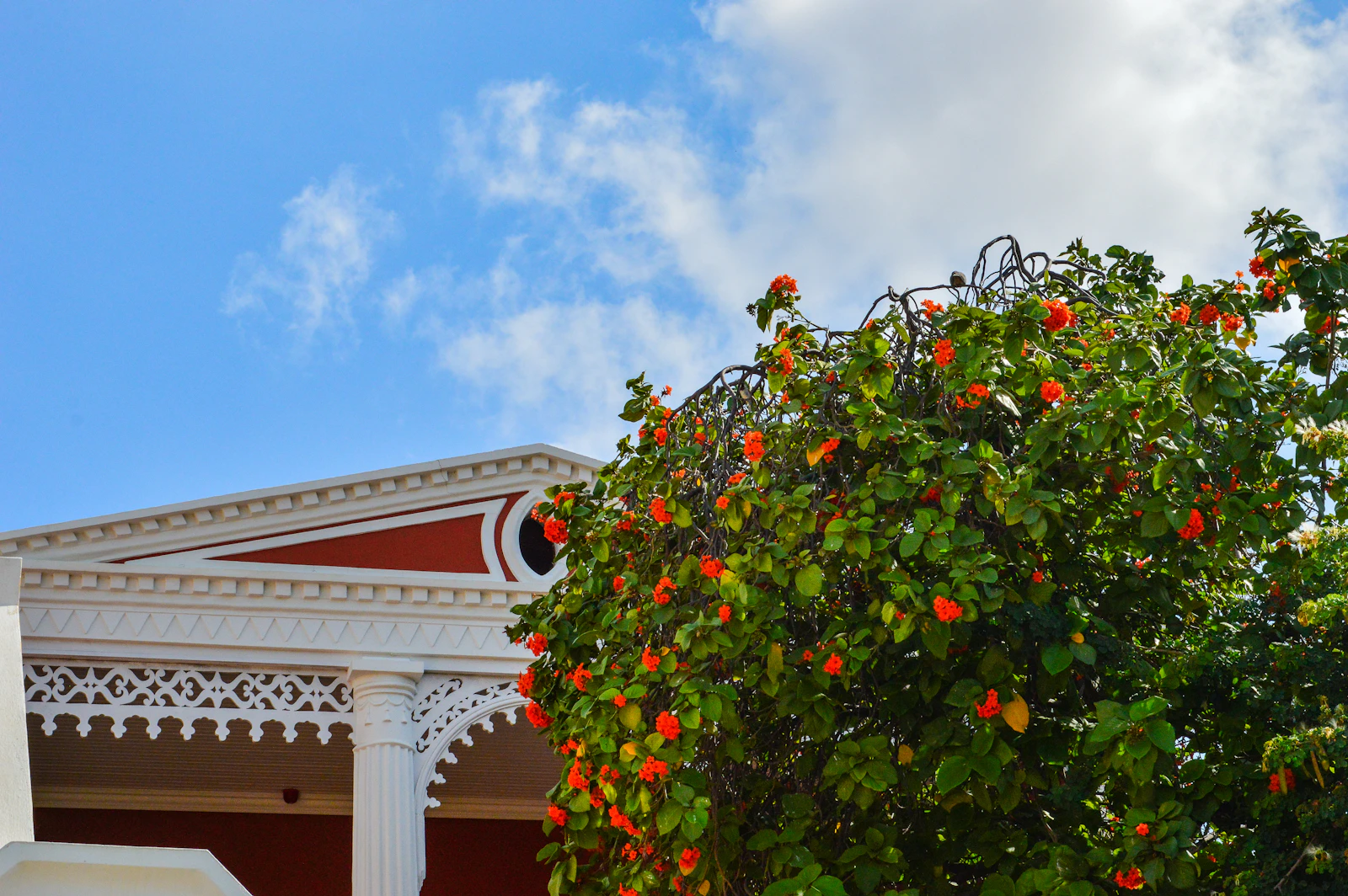 Oranjestad, Aruba photo 6 by Jamie Tudor