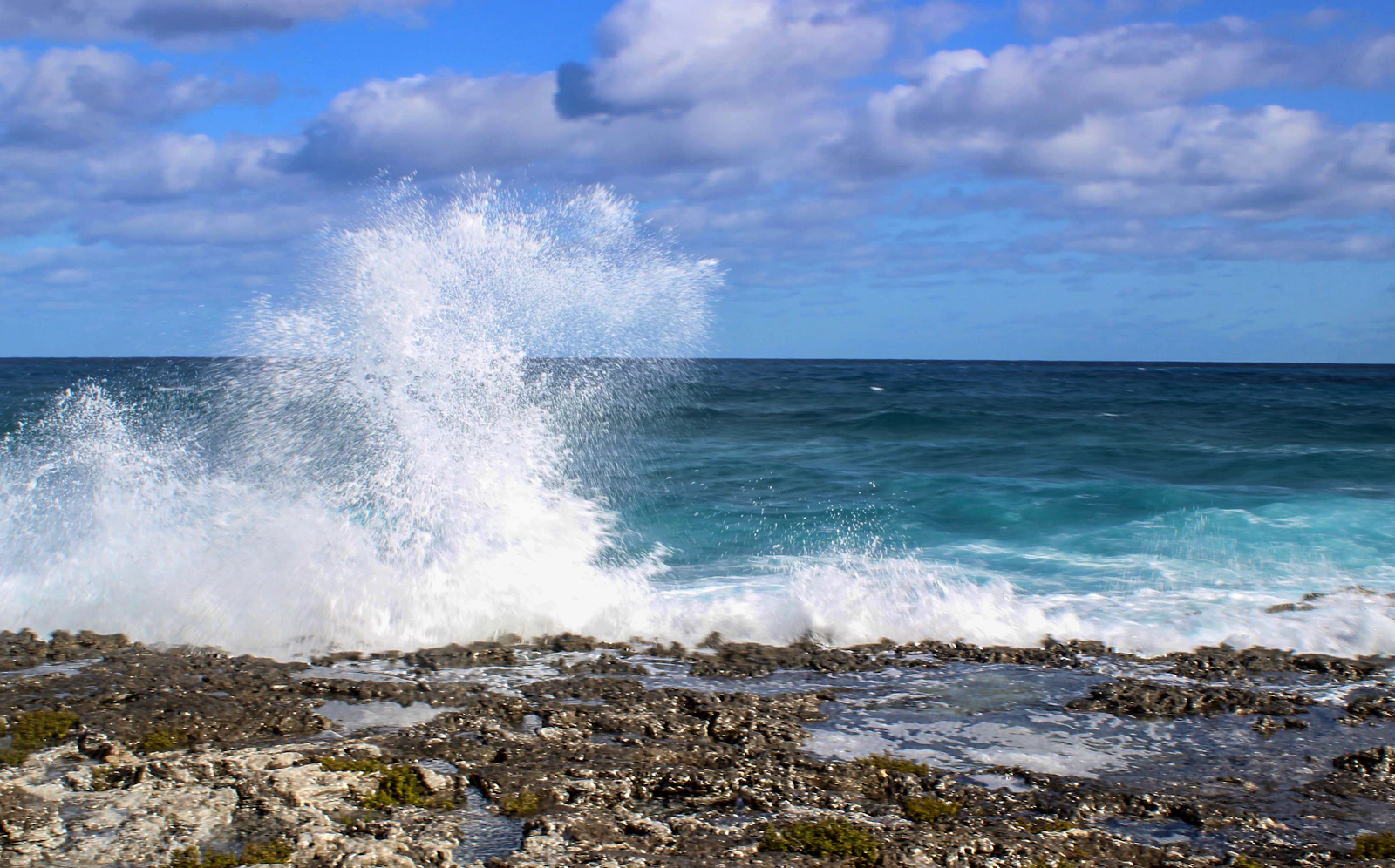 Nassau, Bahamas photo 11 by Holly Riley