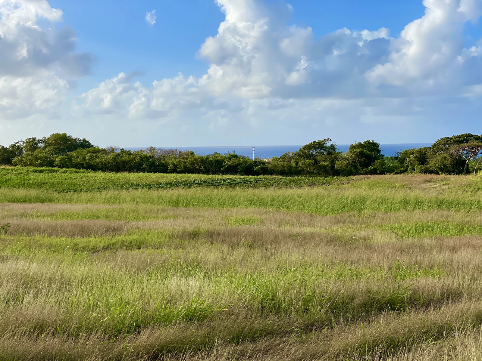 Bridgetown, Barbados photo 6 by Julio Cesar Morciego