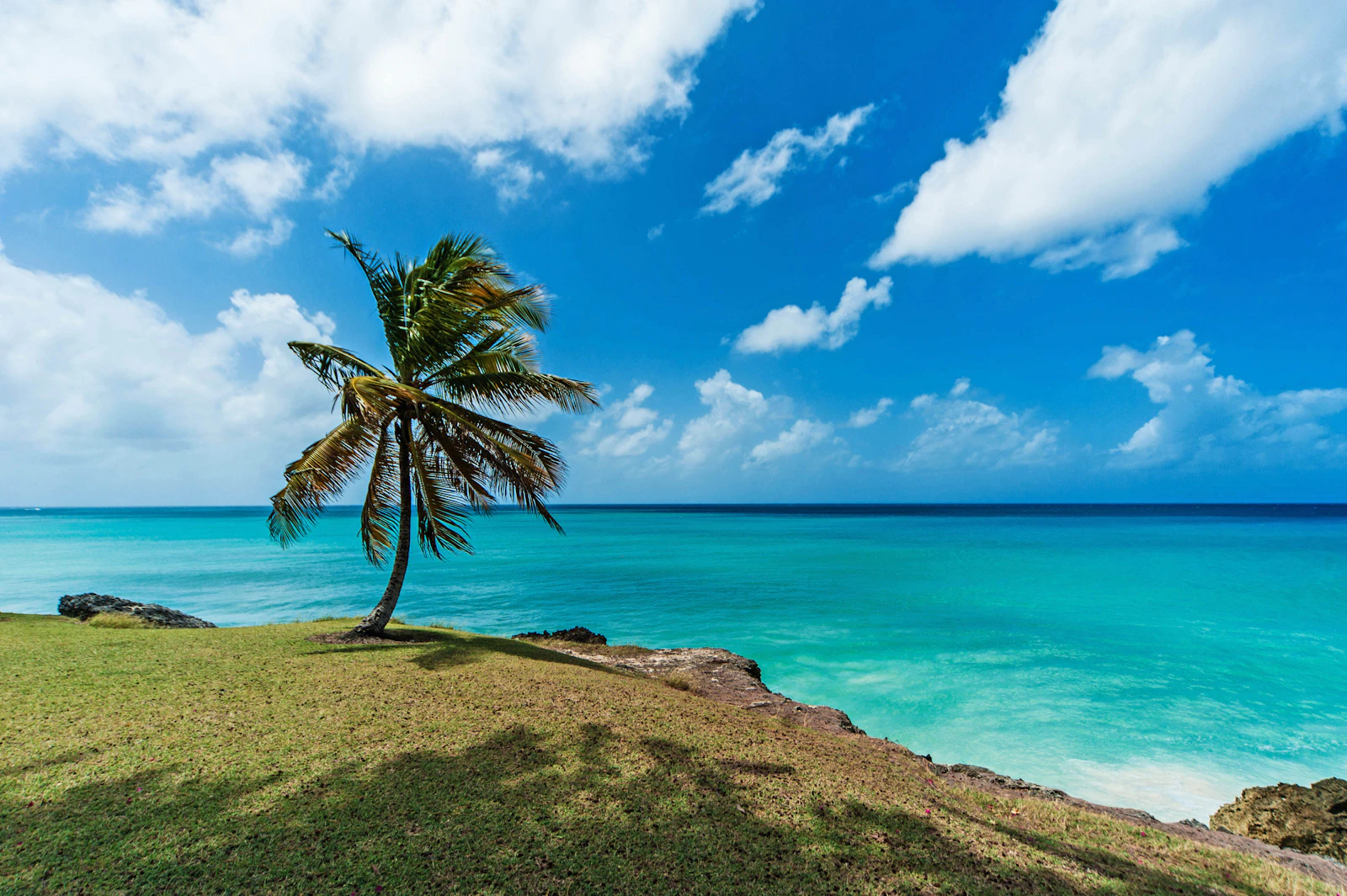 Bridgetown, Barbados travel photo