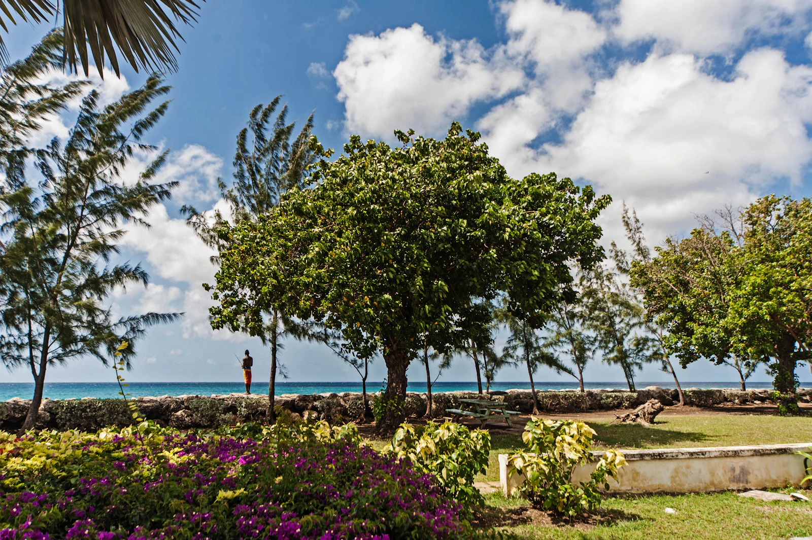 Bridgetown, Barbados photo 15 by Tom Jur