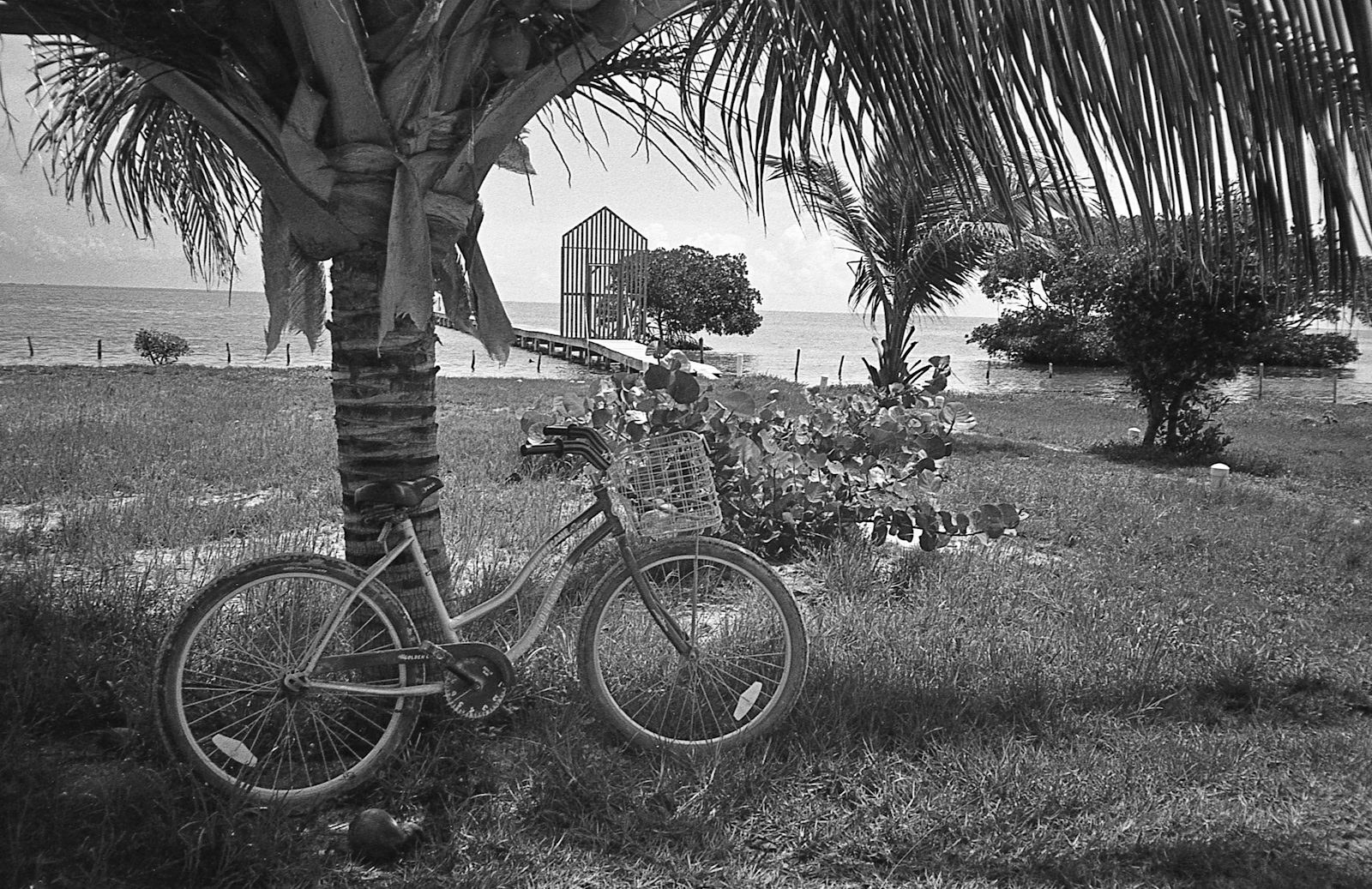 Caye Caulker, Belize photo 5 by MATHEW RUPP