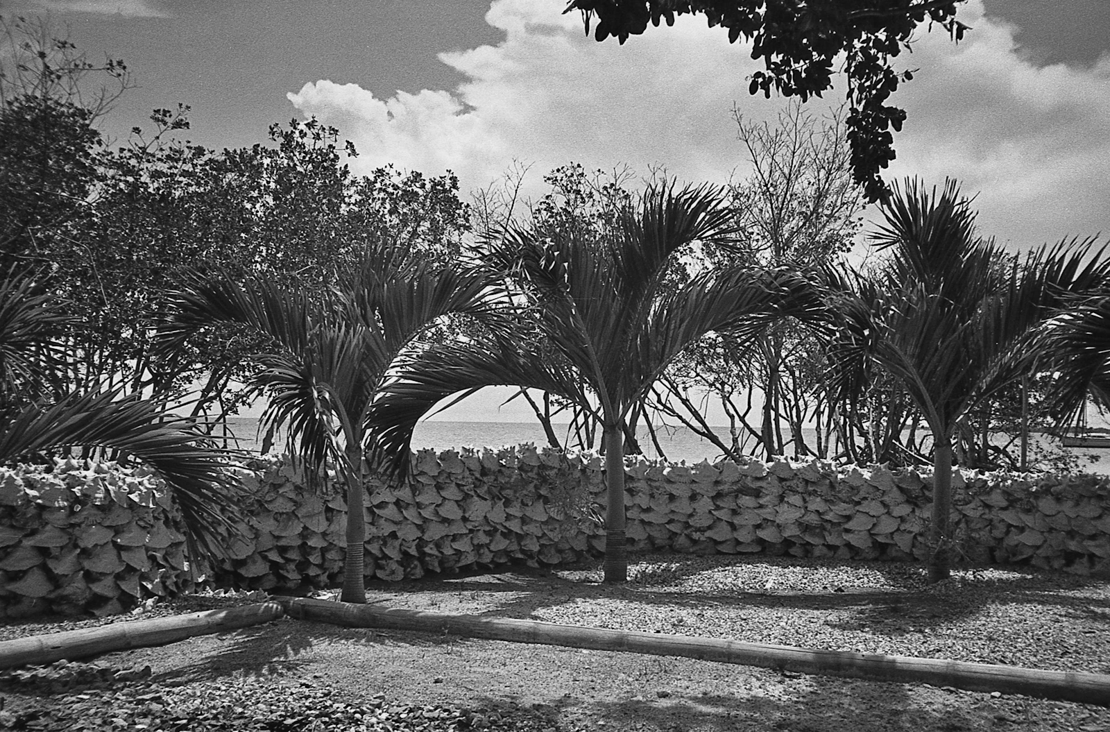 Caye Caulker, Belize photo 2 by MATHEW RUPP