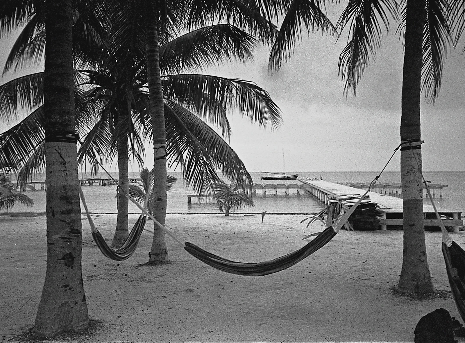 Caye Caulker, Belize photo 12 by MATHEW RUPP