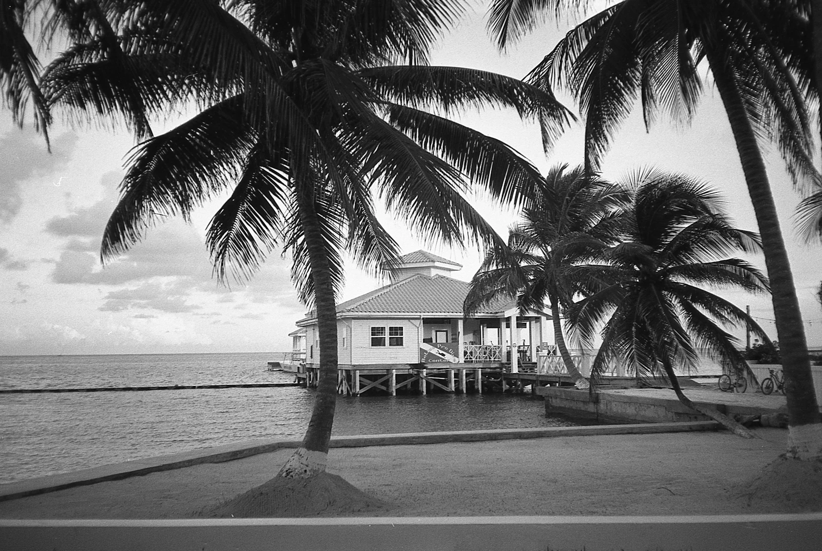 Caye Caulker, Belize photo 27 by MATHEW RUPP