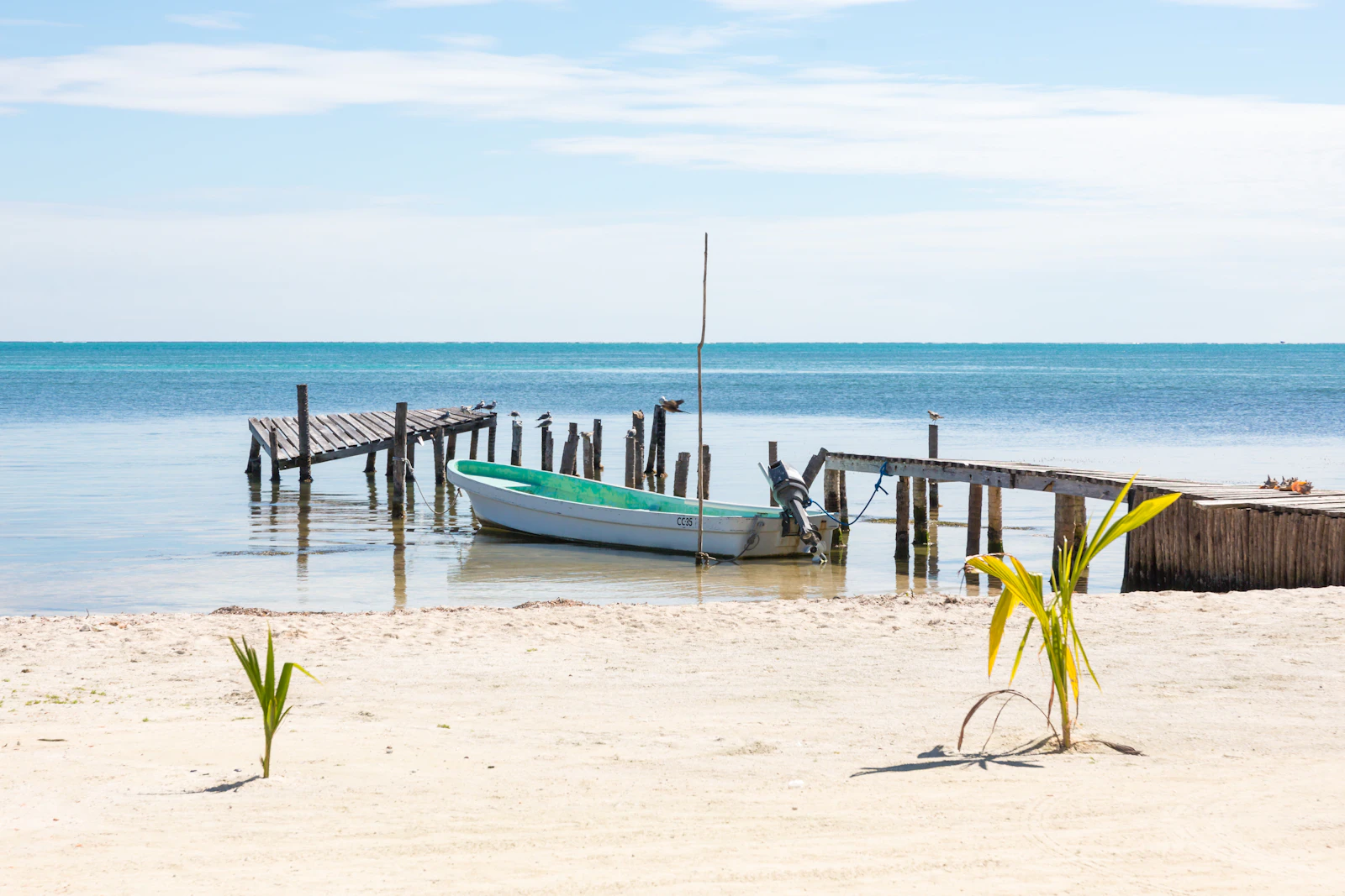Caye Caulker, Belize photo 6 by Michiel Ton
