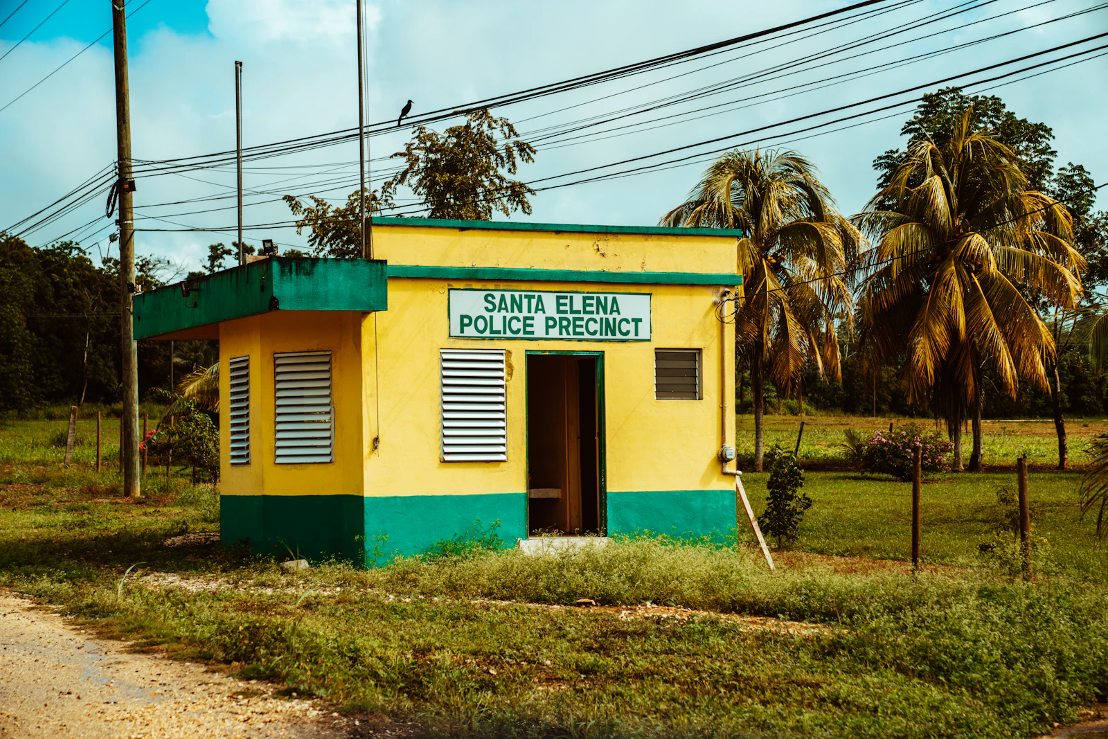 Caye Caulker, Belize photo 24 by Meritt Thomas