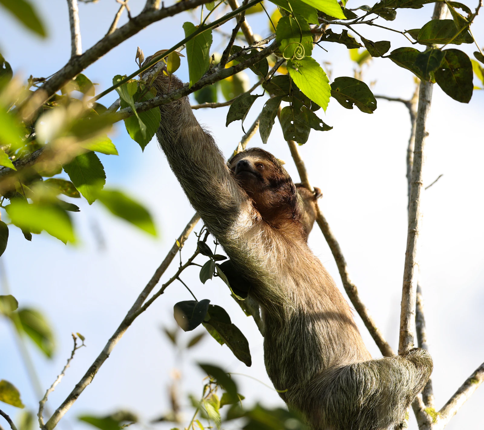 La Fortuna, Costa Rica photo 23 by Max Thake