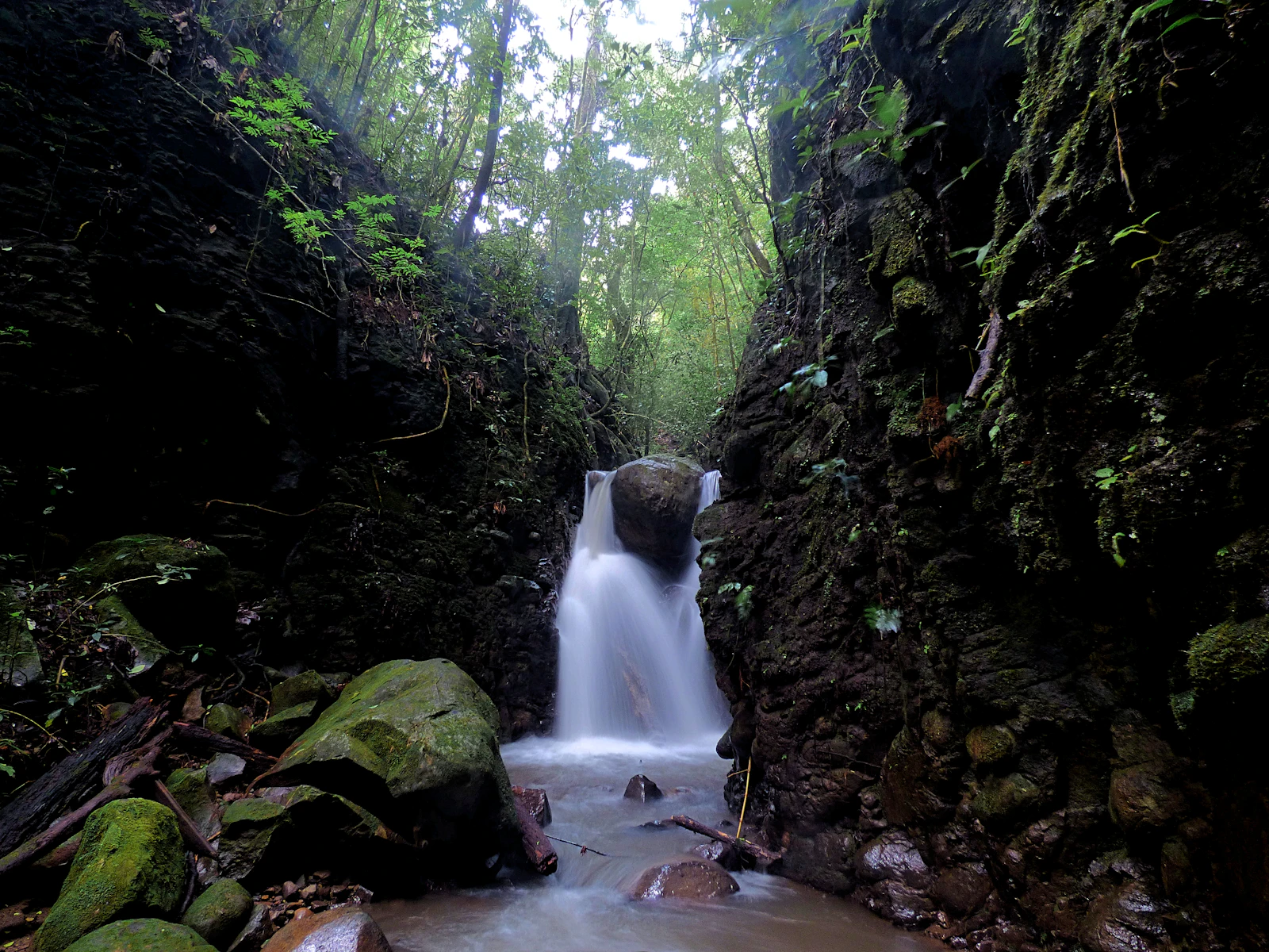 Monteverde, Costa Rica photo 20 by Dulce Wilson