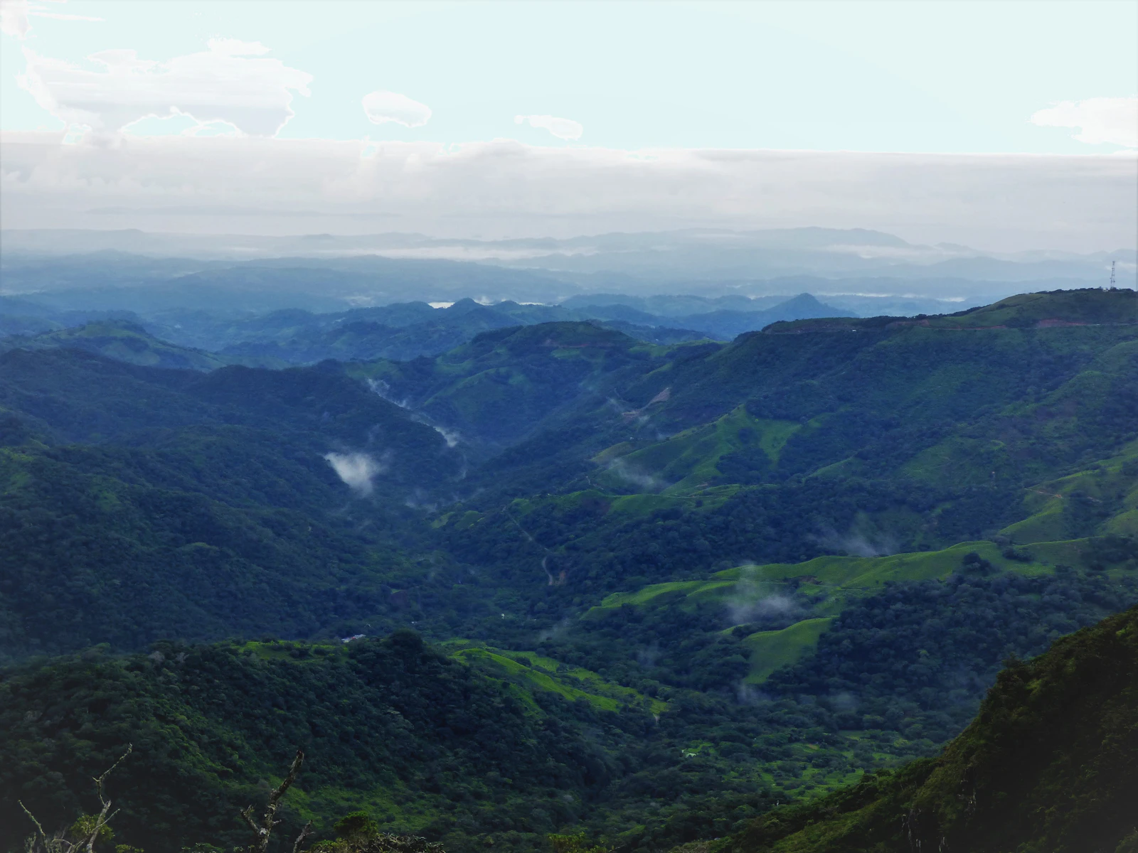 Monteverde, Costa Rica photo 15 by Dulce Wilson