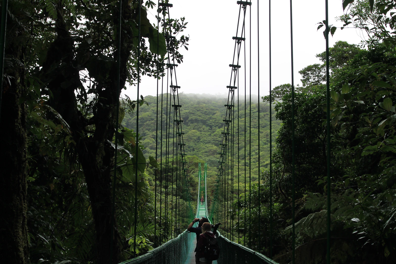 Monteverde, Costa Rica travel photo