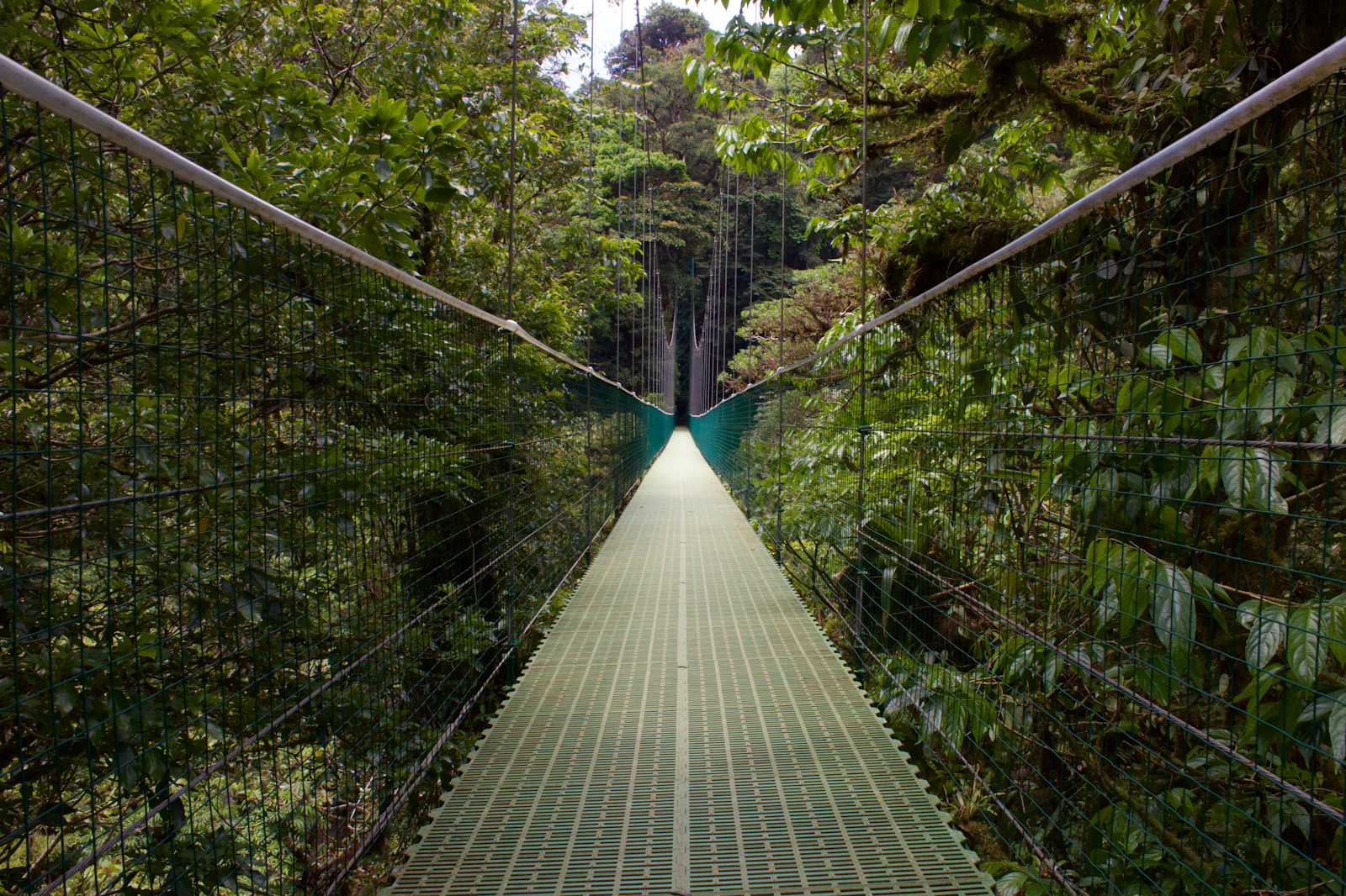 Monteverde, Costa Rica photo 2 by Leslie Cross