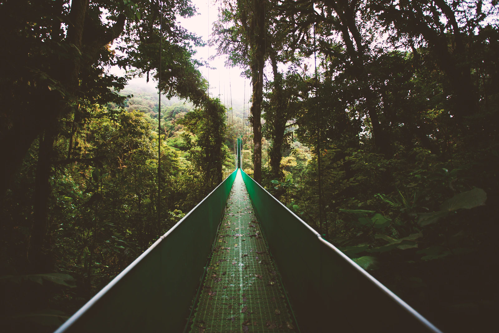 Monteverde, Costa Rica photo 6 by Ben Ostrower