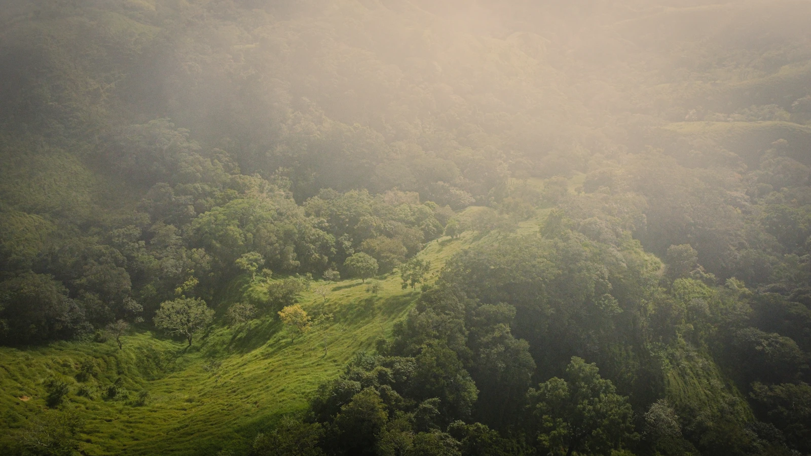 Monteverde, Costa Rica photo 9 by Frames For Your Heart