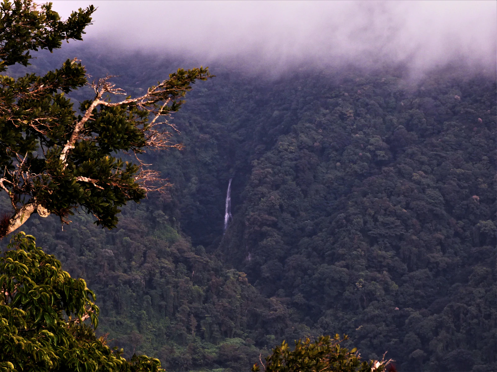 Monteverde, Costa Rica photo 16 by Dulce Wilson