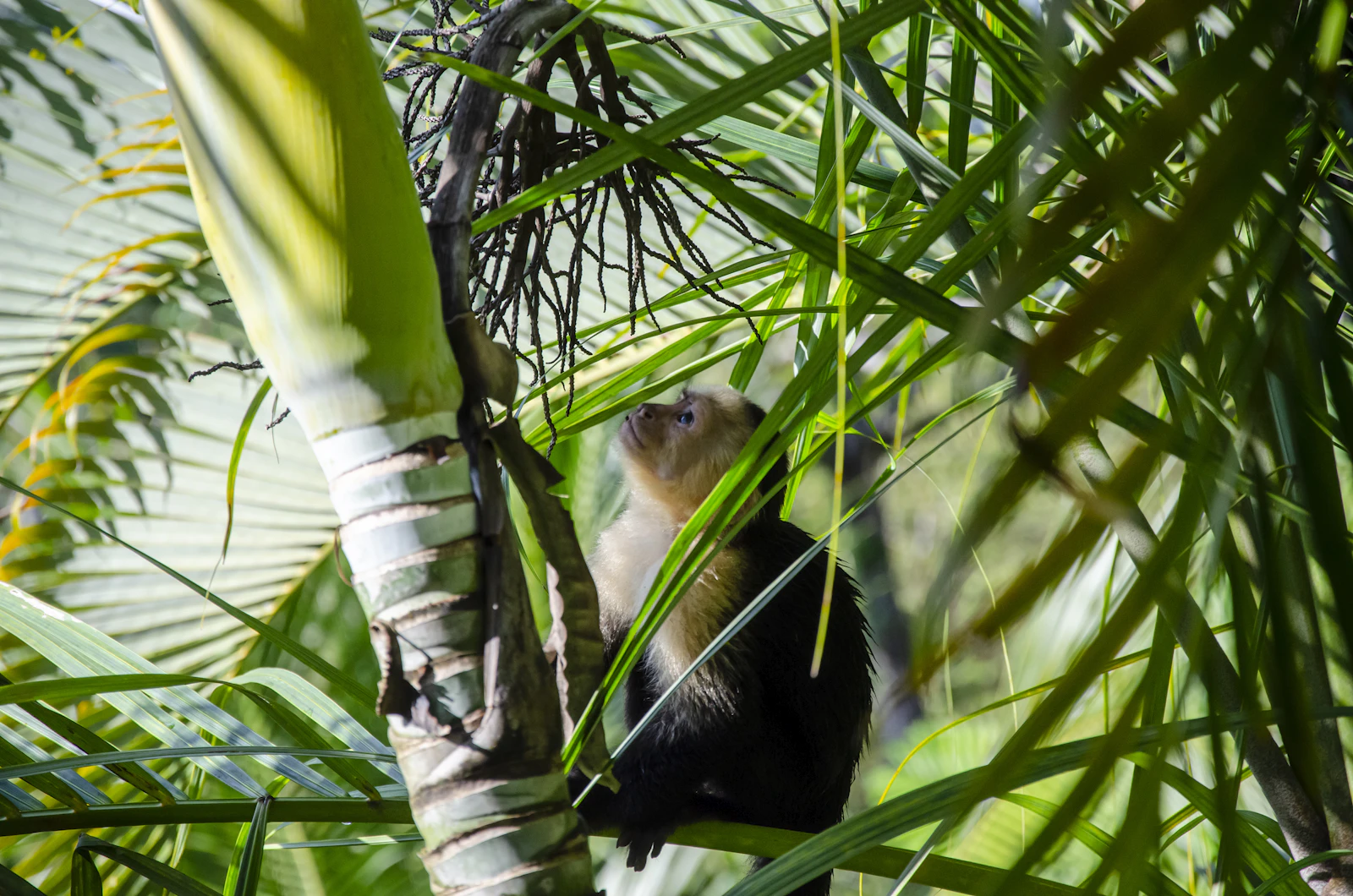 Quepos, Costa Rica photo 2 by Dennis Michel