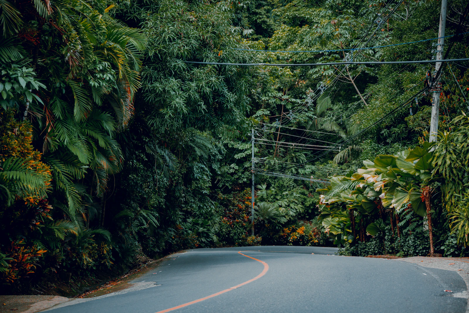 Quepos, Costa Rica photo 5 by Elianna Gill