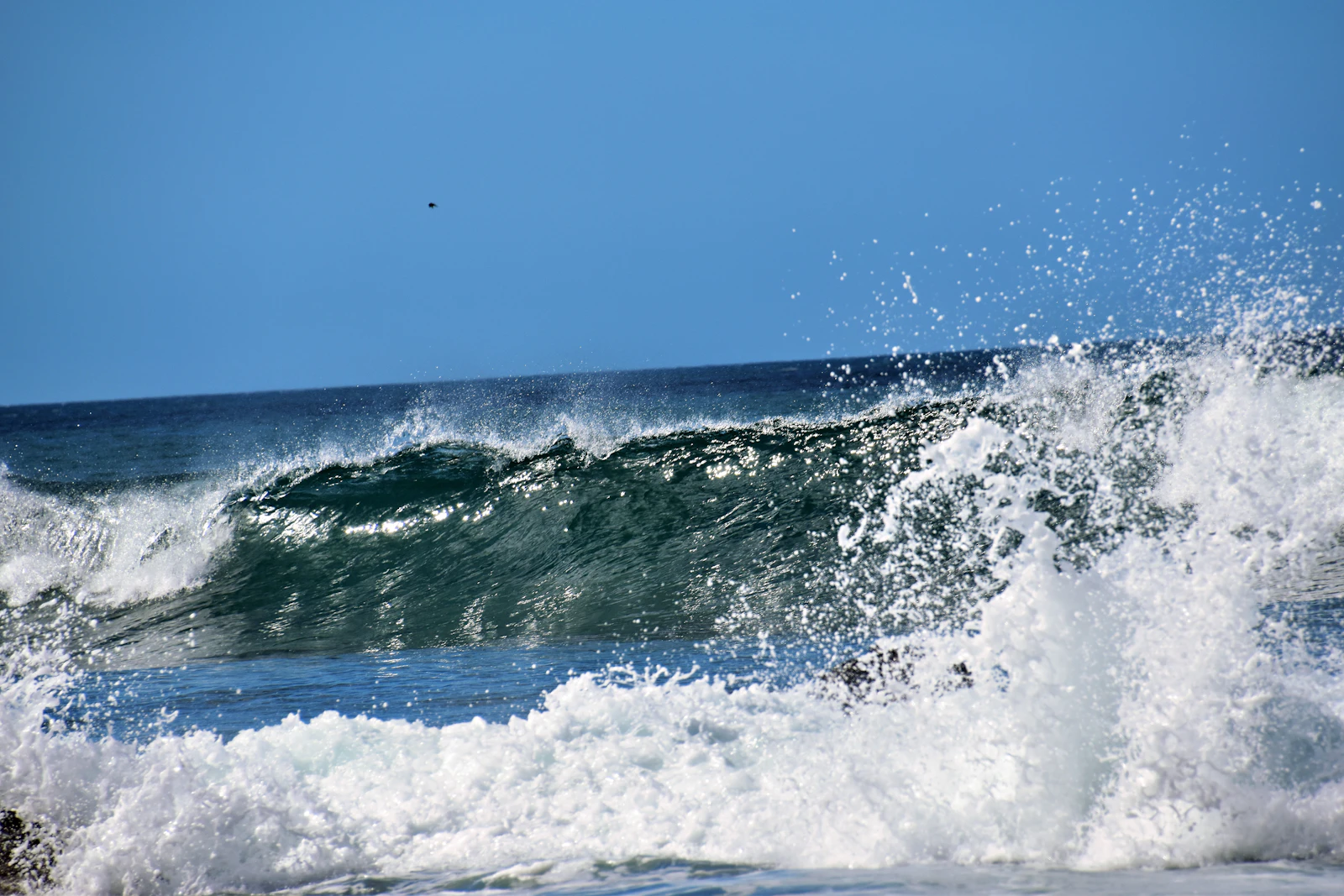 Tamarindo, Costa Rica photo 16 by Jeffrey Eisen