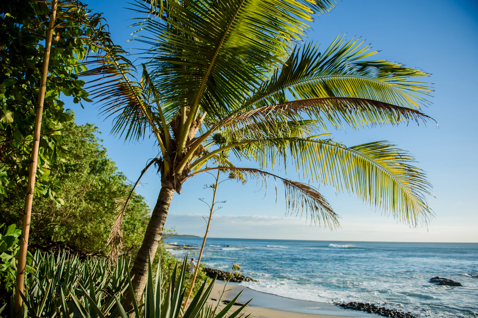 Tamarindo, Costa Rica photo 6 by Christina Victoria Craft