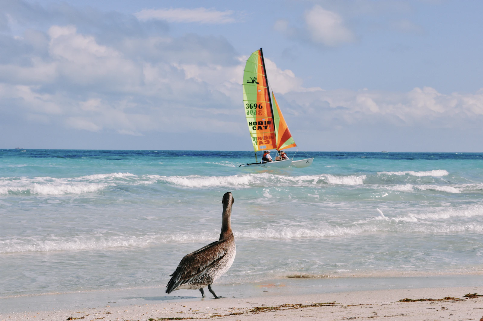 Varadero, Cuba photo 5 by Bodega