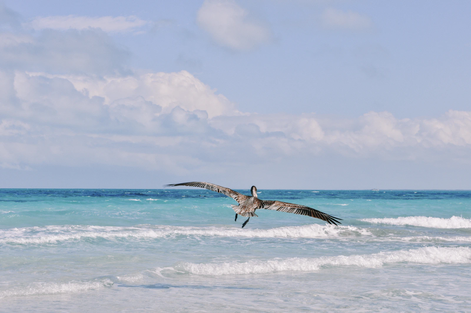Varadero, Cuba photo 8 by Bodega