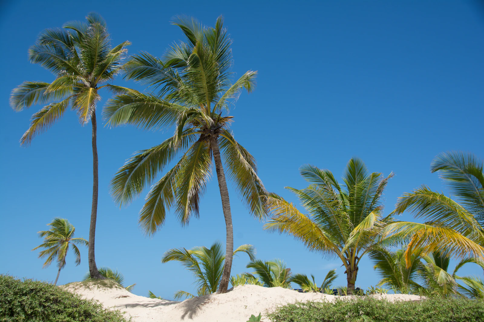 Punta Cana, Dominican Republic photo 30 by David Hughes