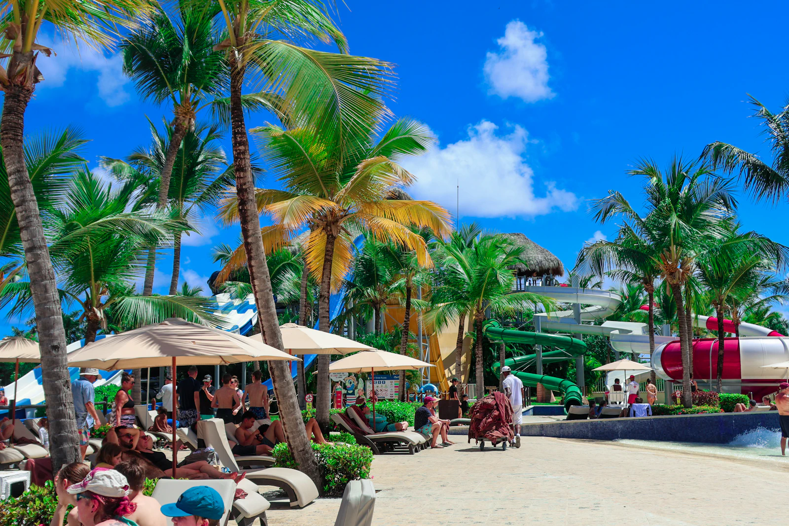 Punta Cana, Dominican Republic photo 16 by Meg von Haartman