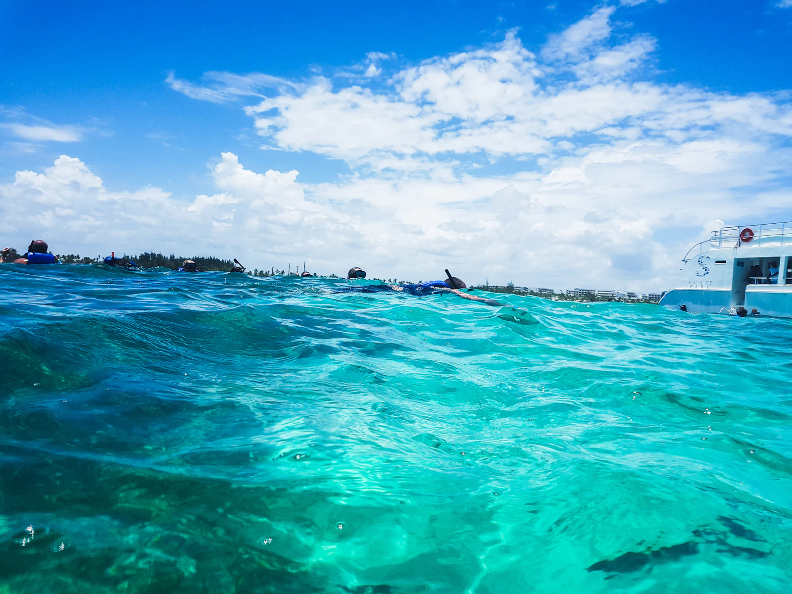 Punta Cana, Dominican Republic photo 25 by Sanja Basalic