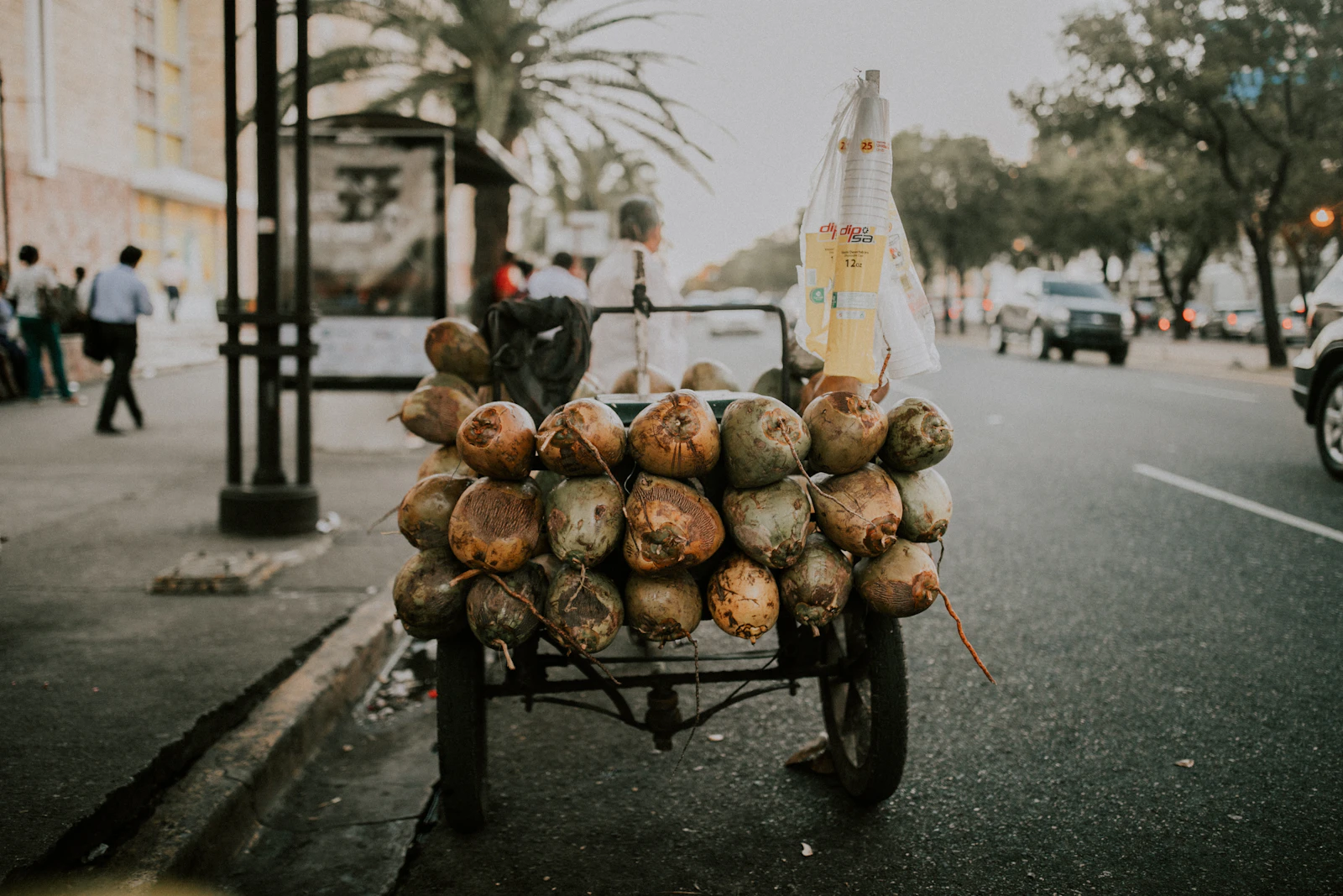 Santo Domingo, Dominican Republic photo 2 by Hannah Busing