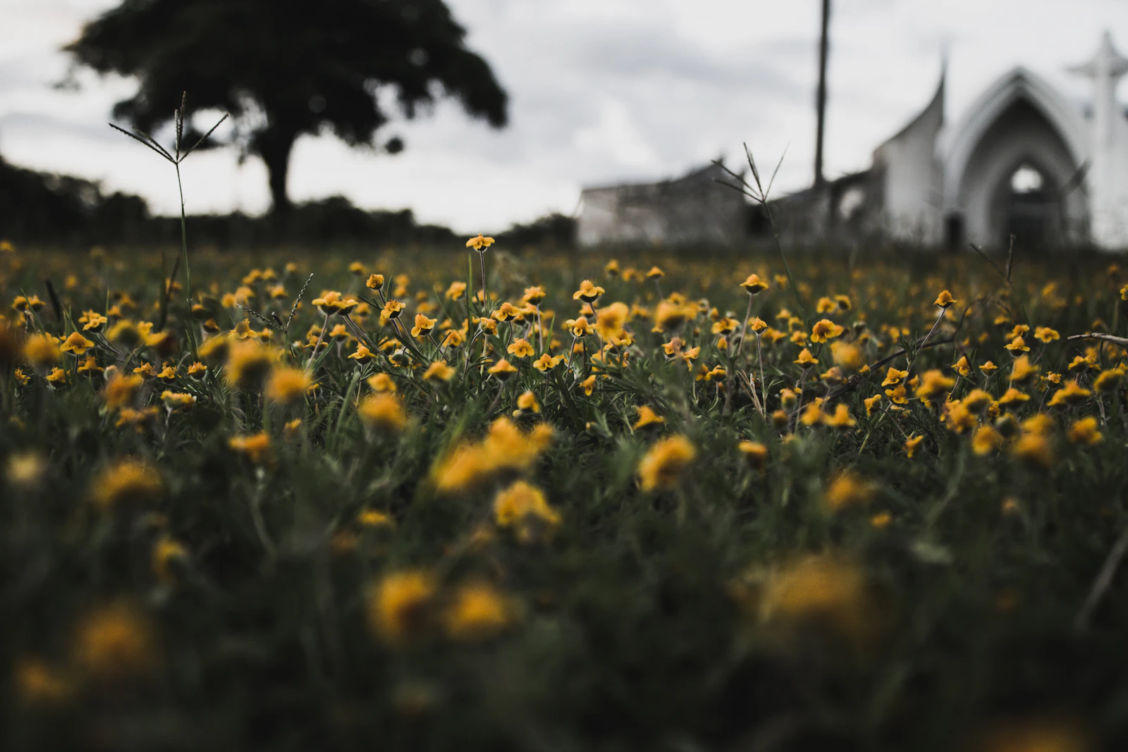 Flores, Guatemala photo 16 by Eduardo Tdp