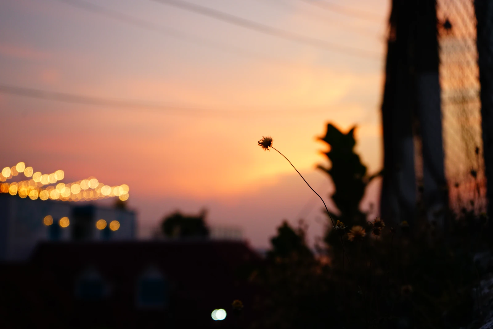 Flores, Guatemala photo 8 by Anna Stampfli