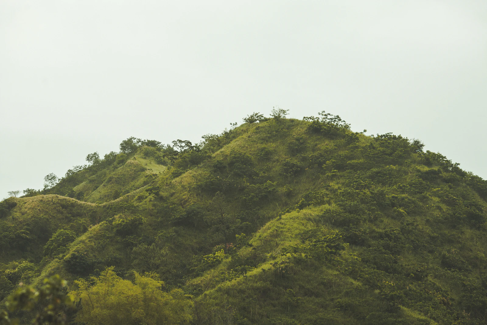 Kingston, Jamaica photo 10 by Marc Babin