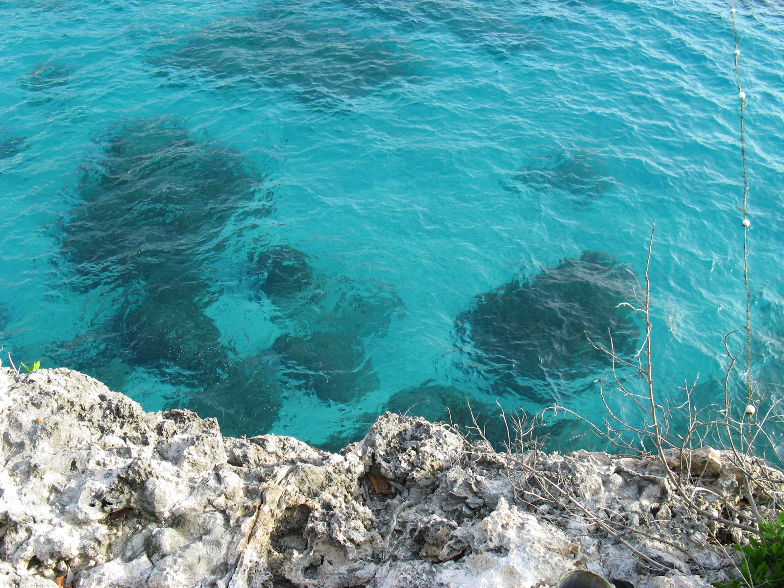 Negril, Jamaica photo 16 by Angela Loria