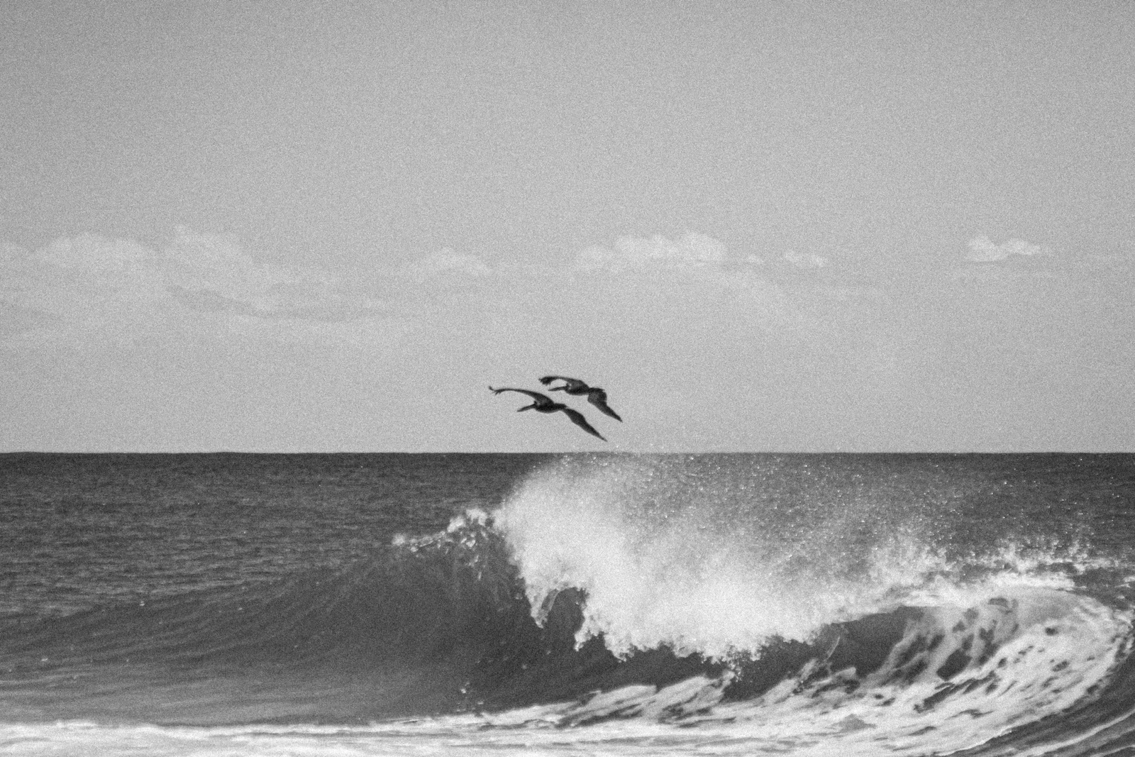 Bocas del Toro, Panama photo 11 by Alan Lopez