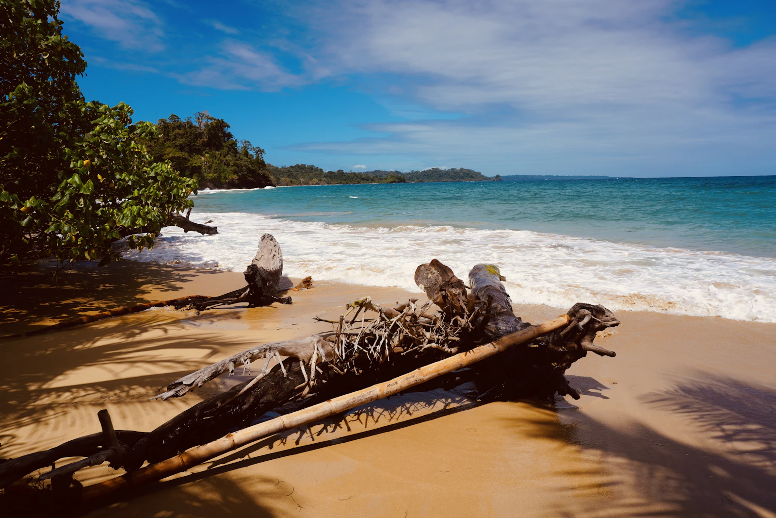 Bocas del Toro, Panama photo 18 by Azzedine Rouichi