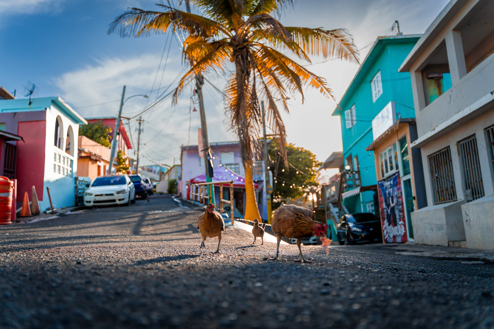 San Juan, Puerto Rico photo 24 by Nils Huenerfuerst