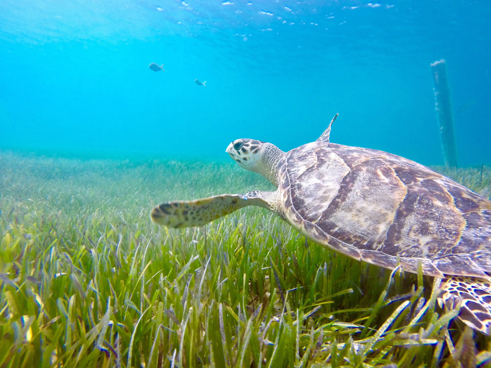 Providenciales, Turks and Caicos travel photo