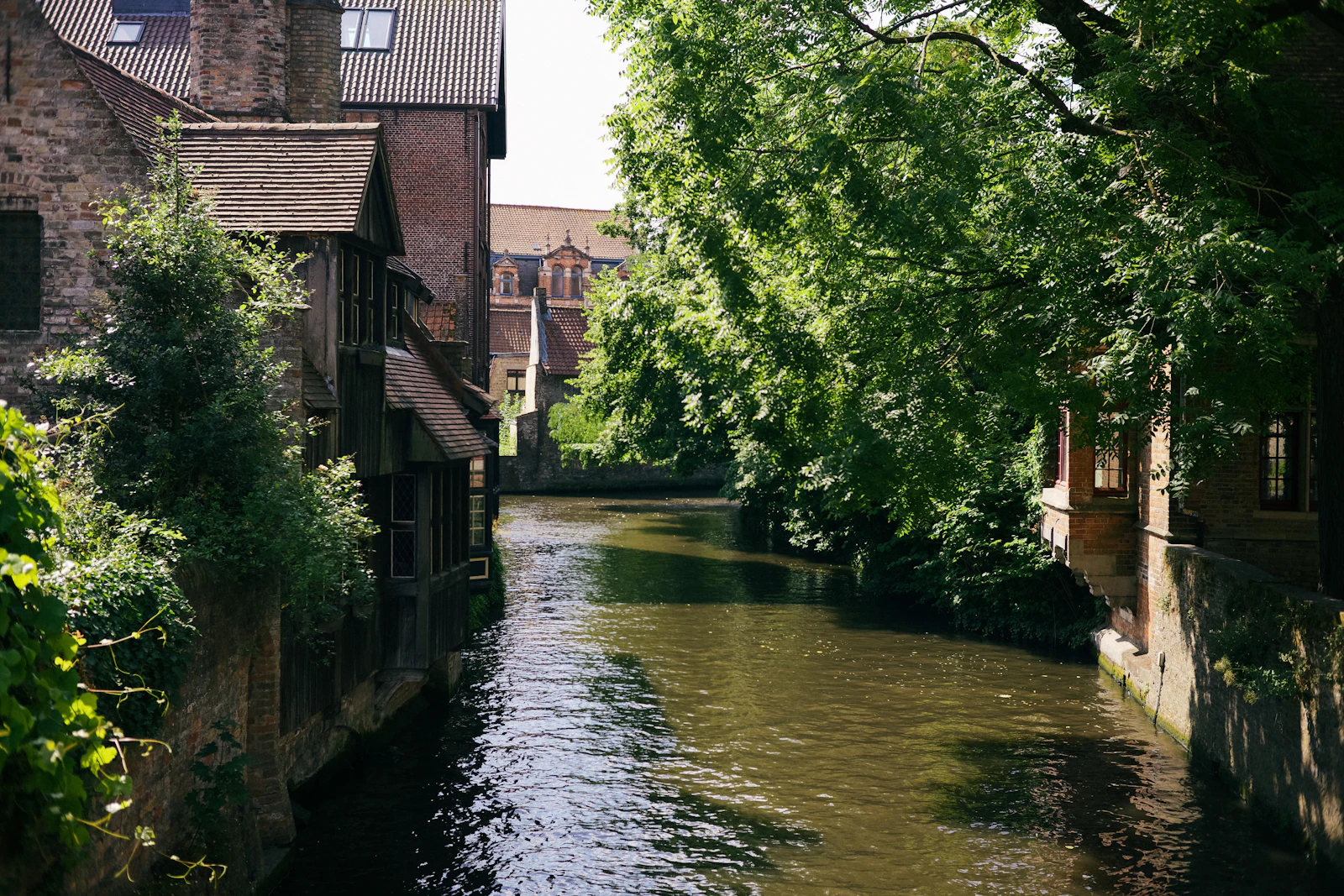 Bruges, Belgium photo 25 by Josh Wilburne