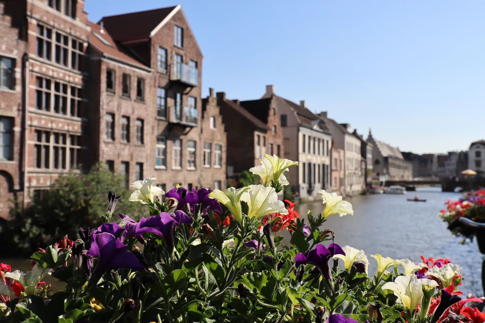 Ghent, Belgium photo 21 by Shotbymide