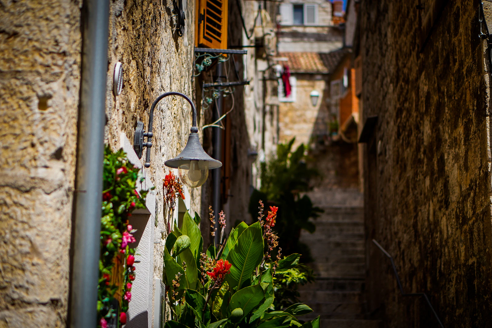 Hvar, Croatia photo 29 by Aiva Apsite