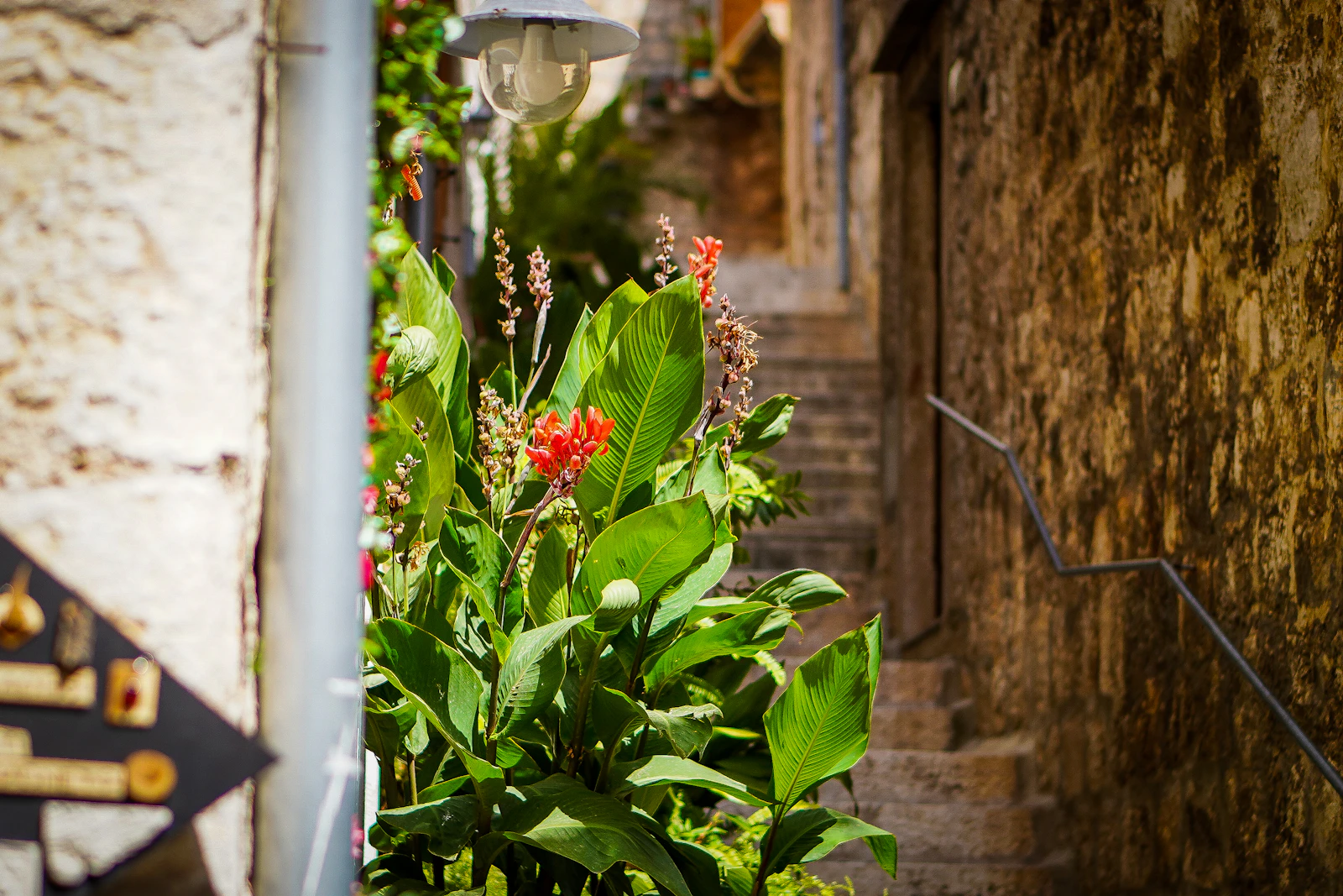 Hvar, Croatia photo 28 by Aiva Apsite