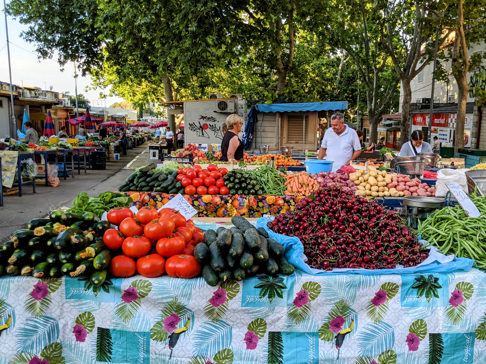 Split, Croatia photo 16 by Donna Spearman