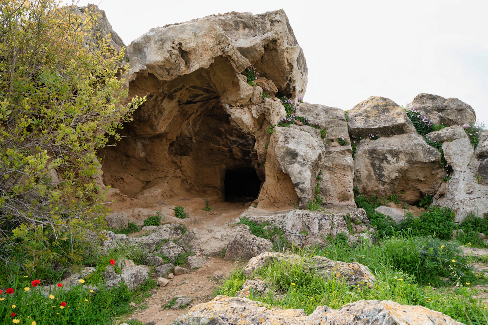 Paphos, Cyprus photo 30 by Datingjungle