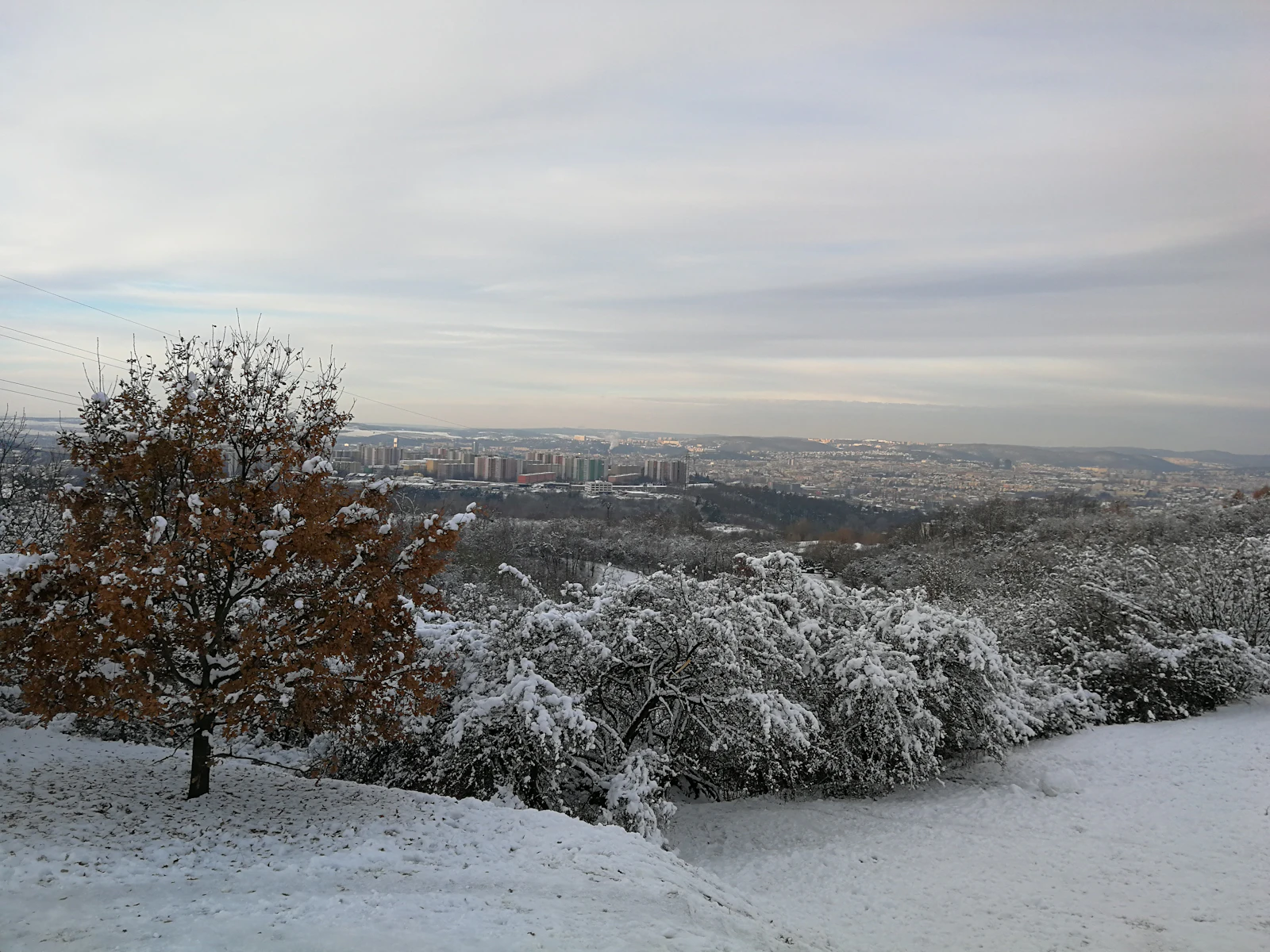 Brno, Czechia photo 17 by Aleksei Tertychnyi