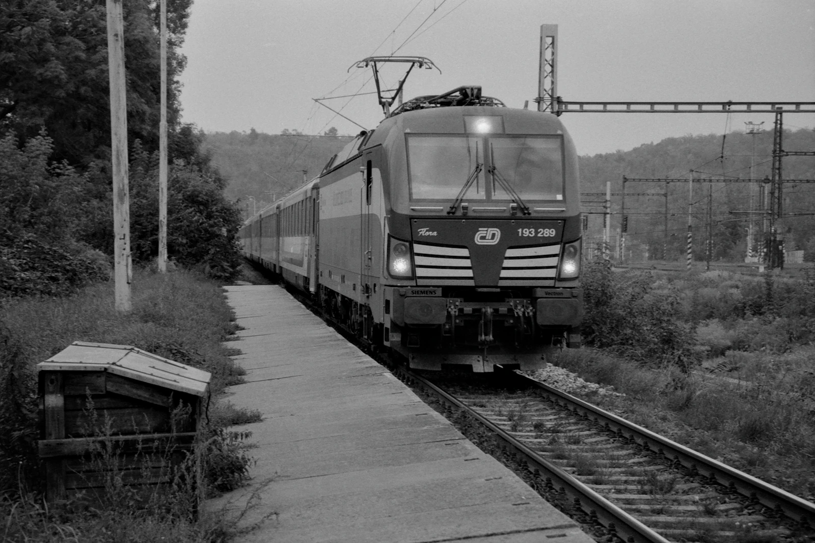 Brno, Czechia photo 19 by Lukáš Lehotský