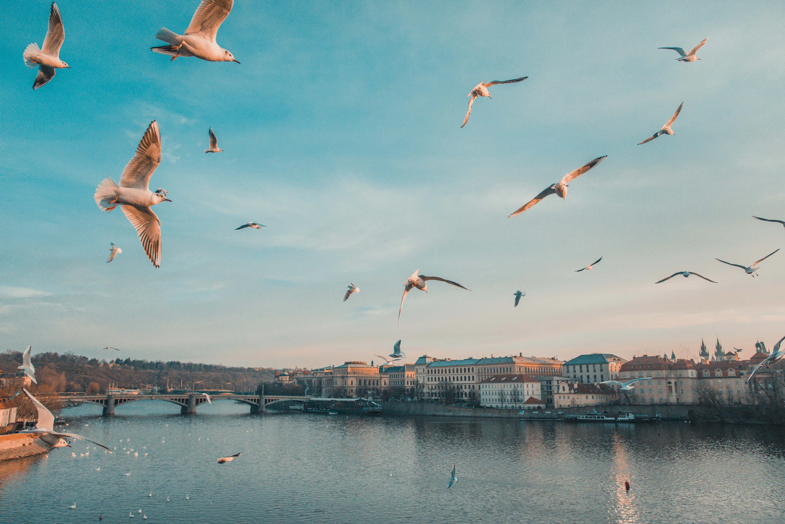 Prague, Czechia photo 13 by Anthony DELANOIX