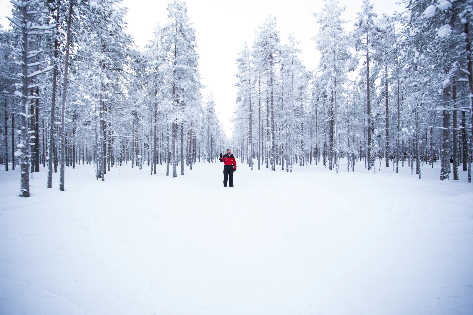 Rovaniemi, Finland photo 16 by Robert Tjalondo