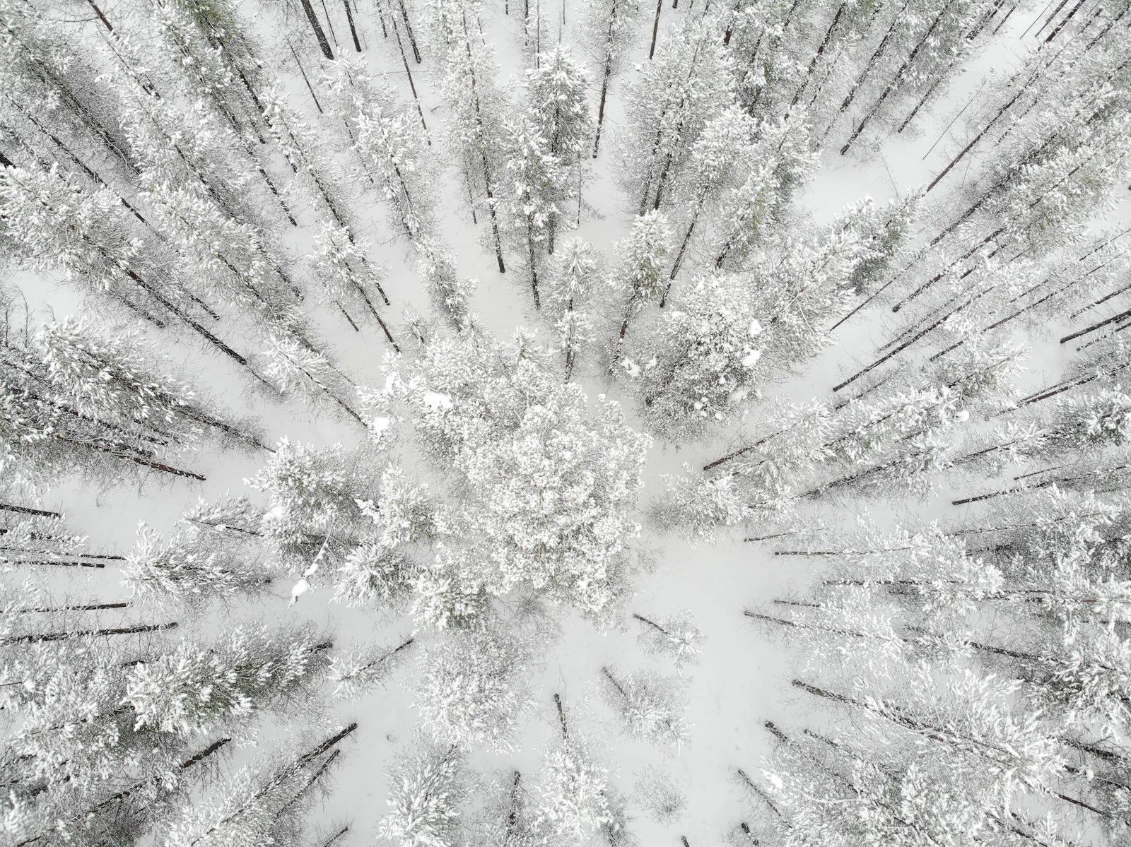 Rovaniemi, Finland photo 23 by Mark Blackwell