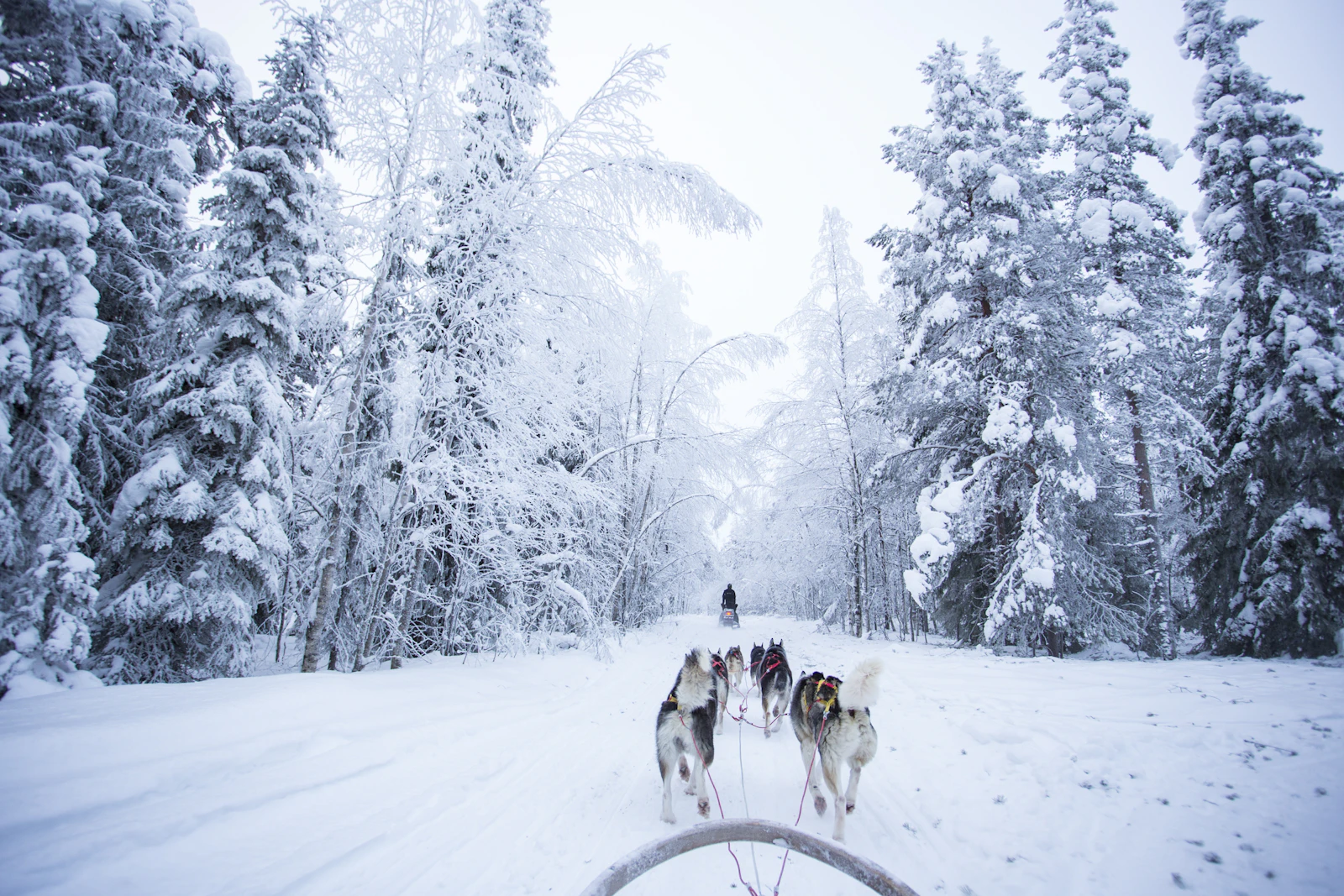 Rovaniemi, Finland photo 2 by Robert Tjalondo
