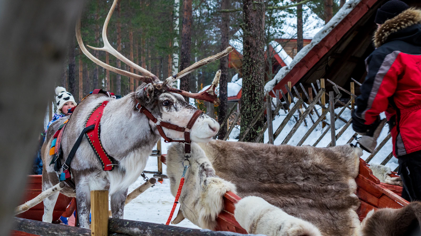 Rovaniemi, Finland photo 10 by shepherd
